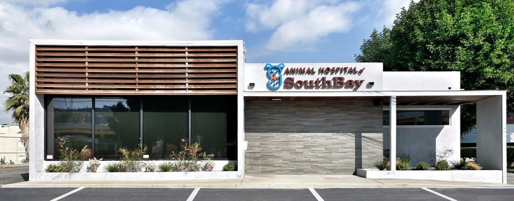 Animal Hospital of South Bay Rolling Hill, CA Location