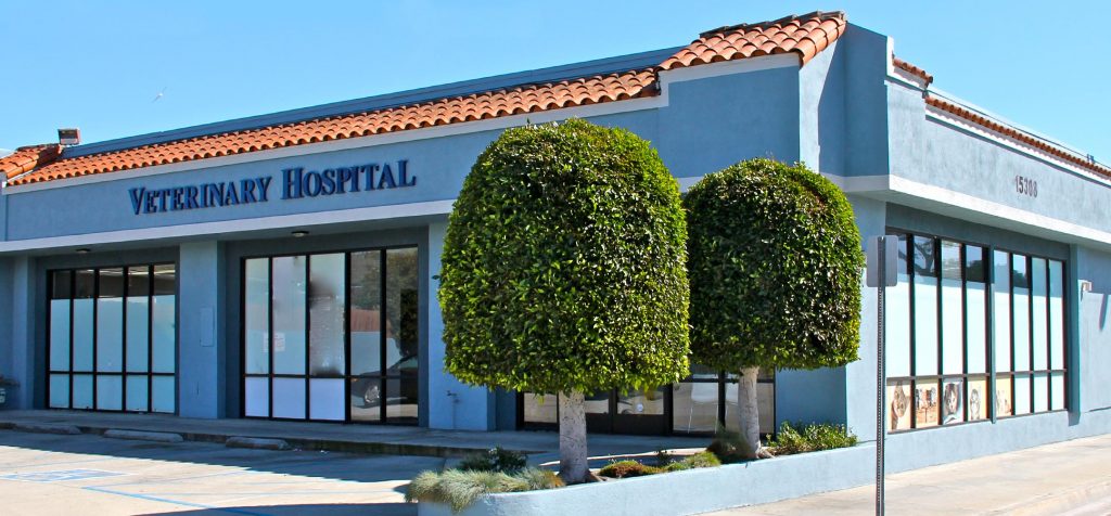 Animal Hospital South Bay Veterinary Pet Care Boarding Grooming Lawndale CA Verdes CA family owned husband and wife
