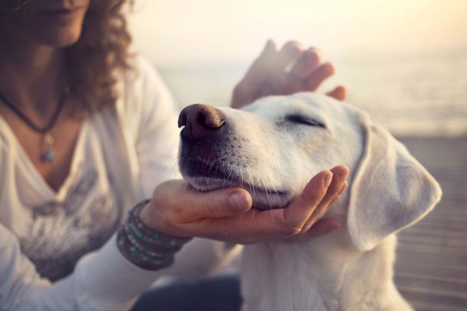 owner caressing gently her dog