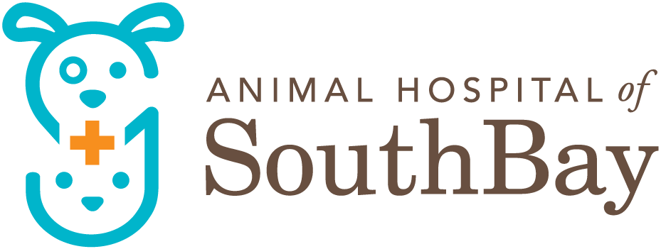 Animal Hospital of South Bay